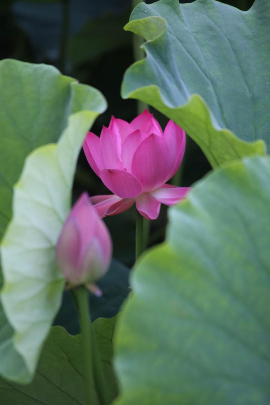 调整大小 IMG_2717.JPG