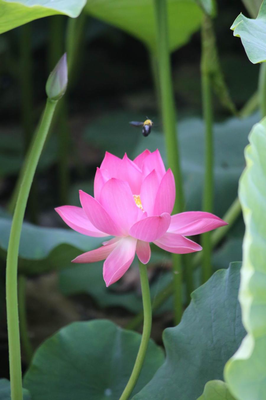 调整大小 IMG_2736.JPG