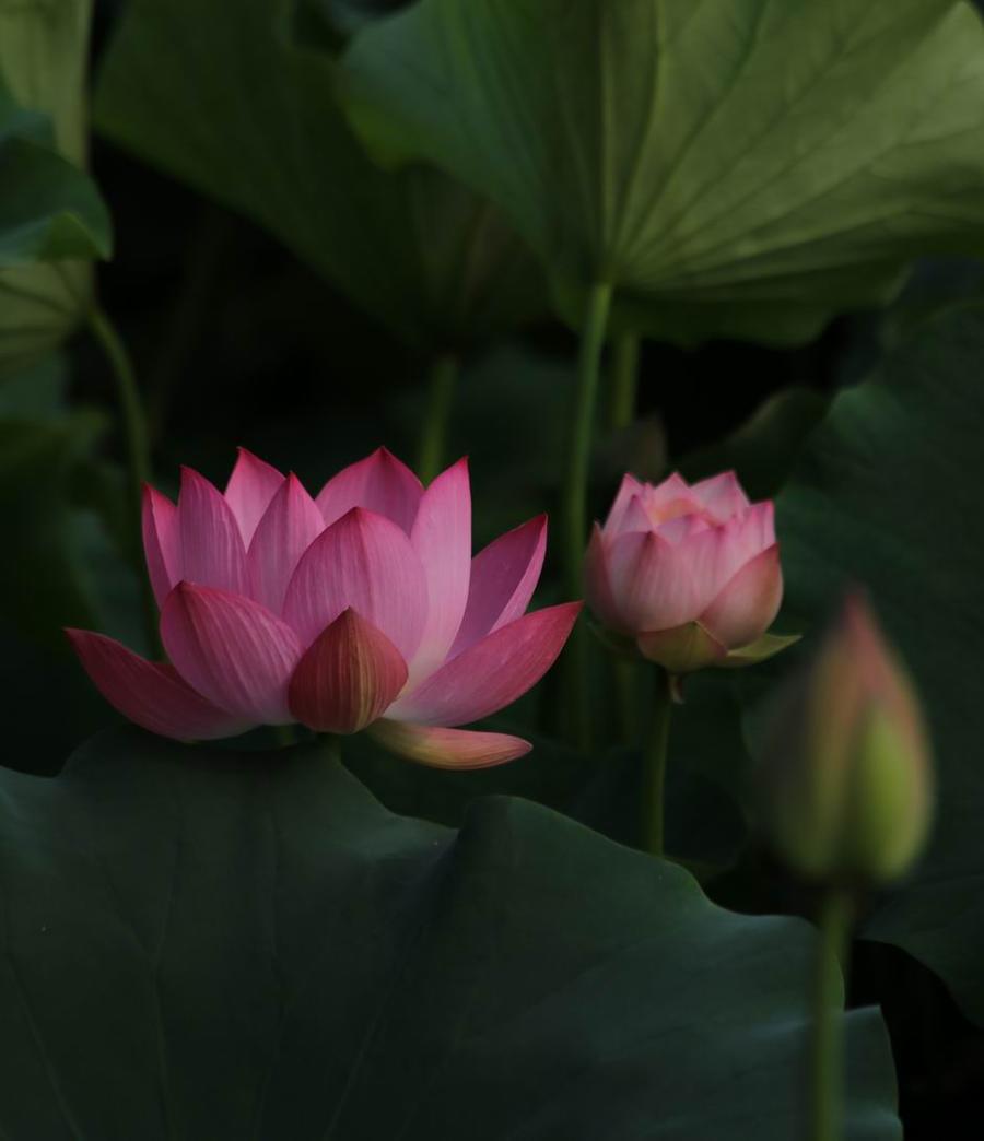 调整大小 IMG_3144.JPG