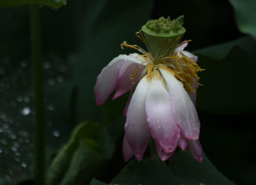 调整大小 IMG_3698.JPG