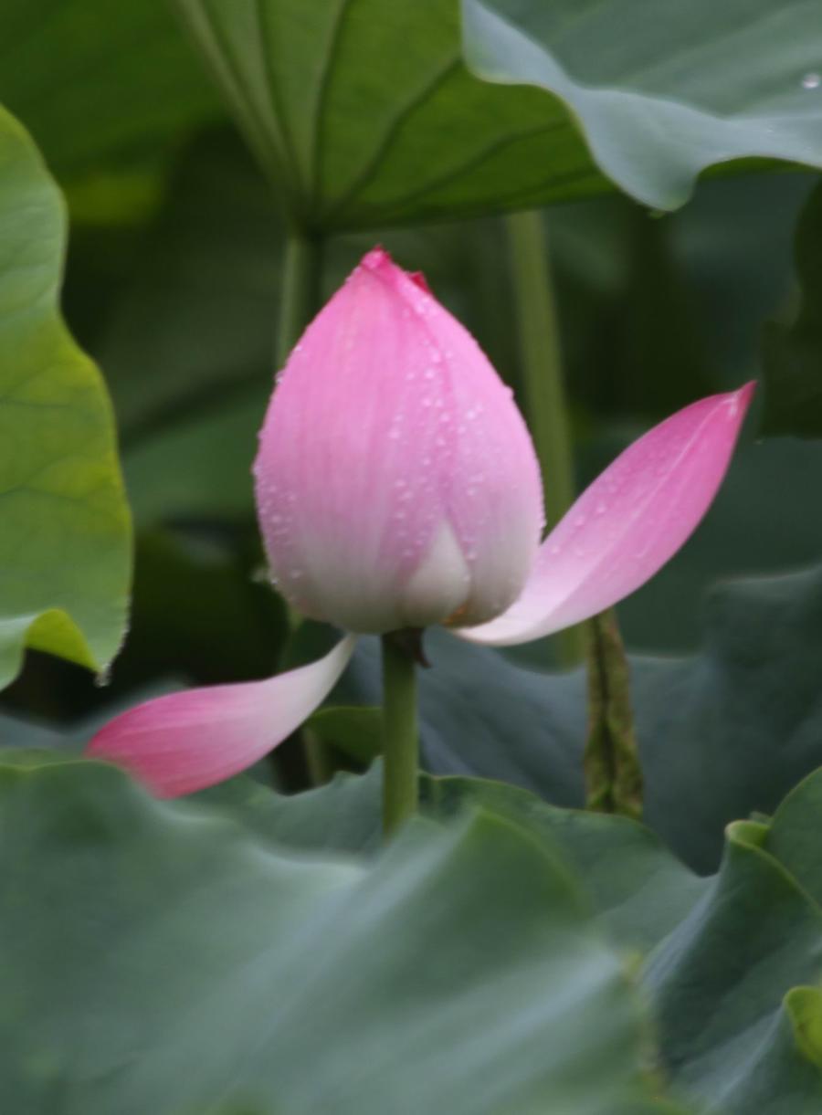 调整大小 IMG_3699.JPG