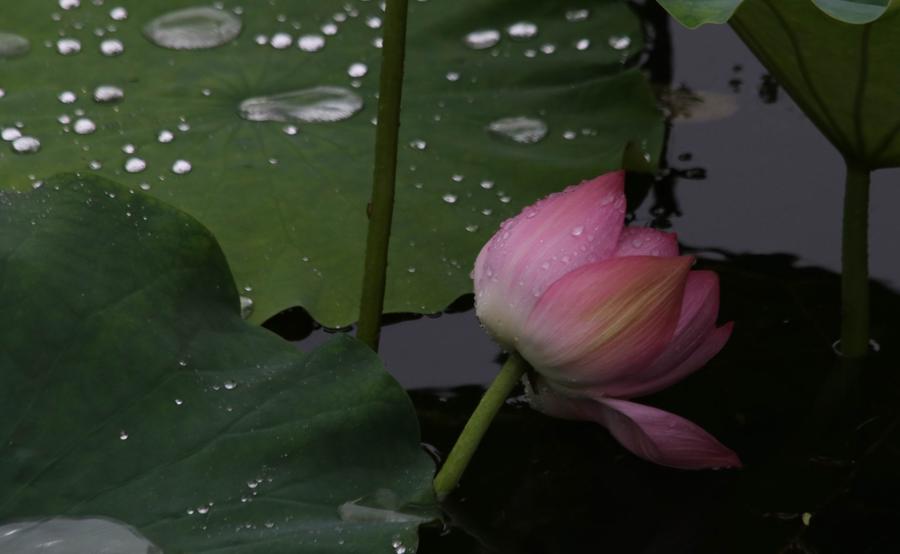 调整大小 IMG_3702.JPG