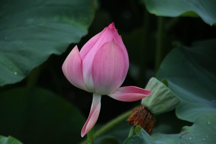 调整大小 IMG_3708.JPG