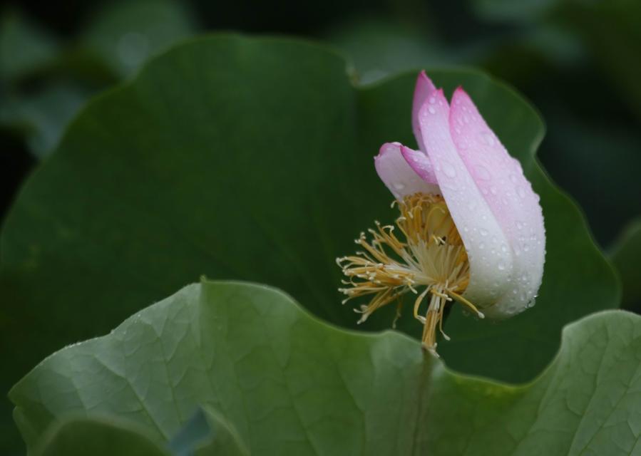 调整大小 IMG_3726.JPG