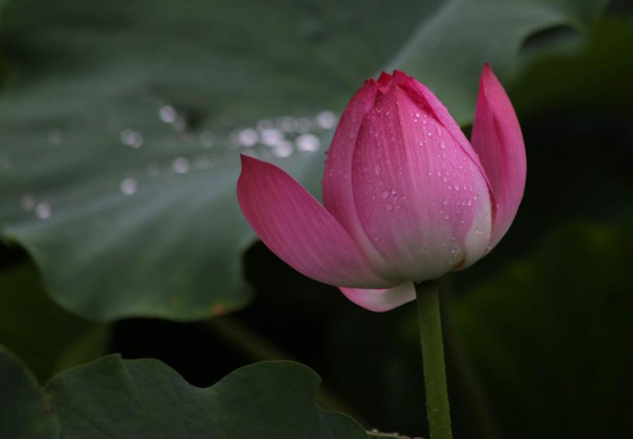 调整大小 IMG_3773.JPG