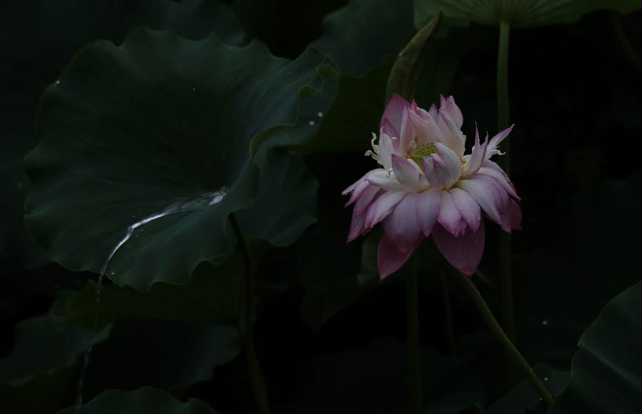 调整大小 IMG_3782.JPG