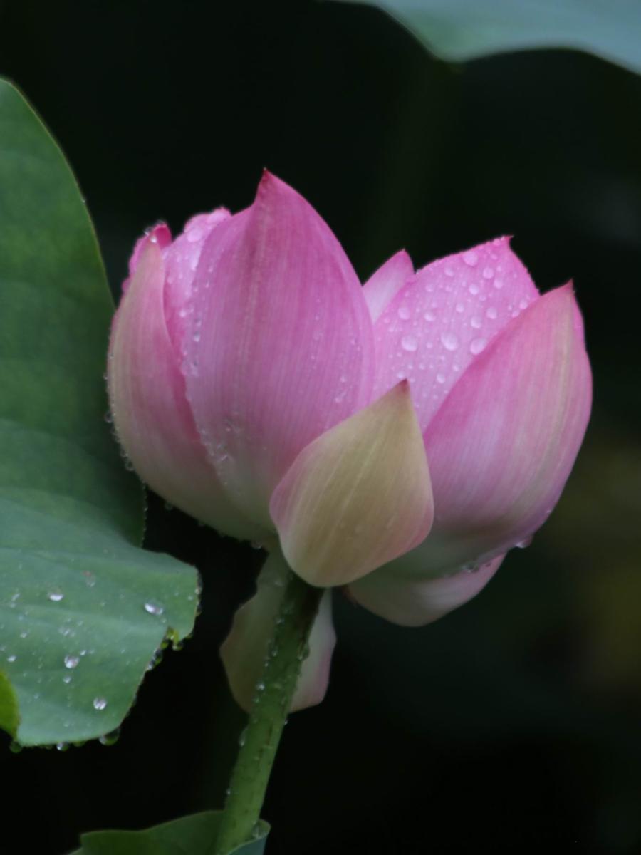 调整大小 IMG_3697.JPG