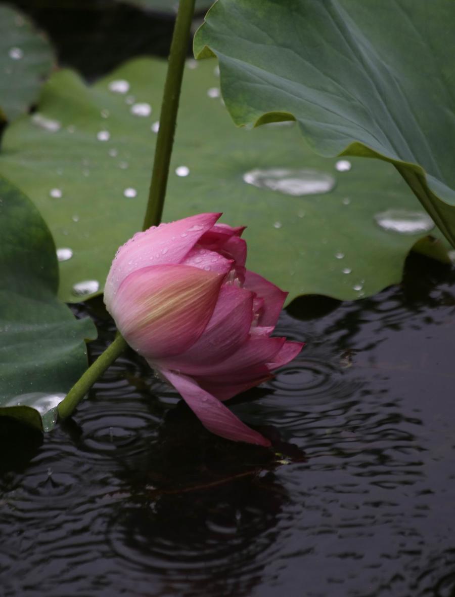 调整大小 IMG_3740.JPG