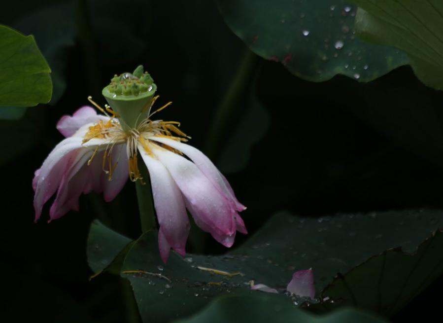 调整大小 IMG_3758.JPG