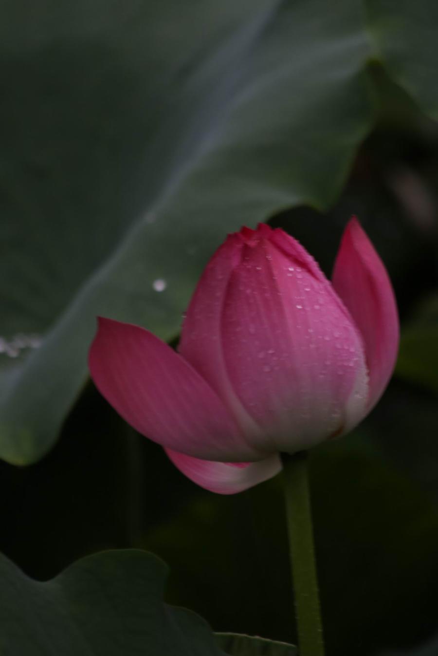 调整大小 IMG_3763.JPG