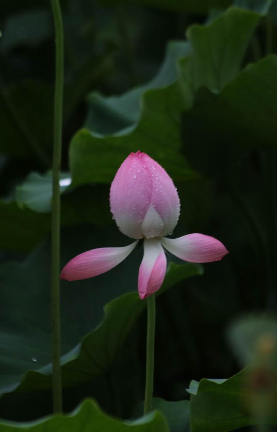 调整大小 IMG_3734.JPG