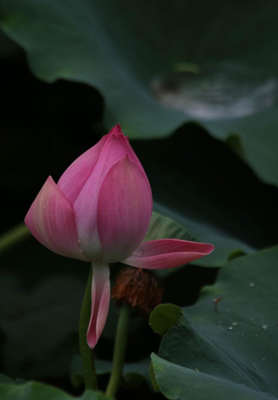 调整大小 IMG_3739.JPG