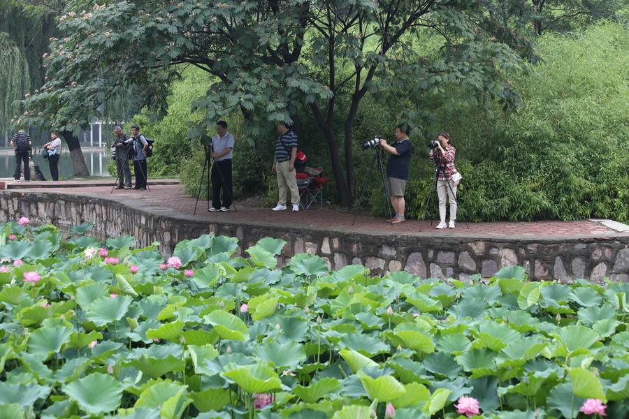 调整大小 IMG_3815.JPG