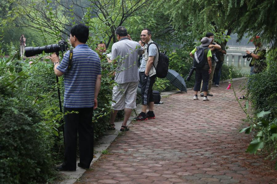 调整大小 IMG_3809.JPG