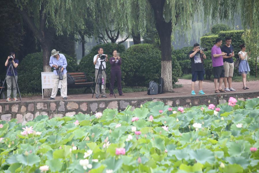 调整大小 IMG_3810.JPG