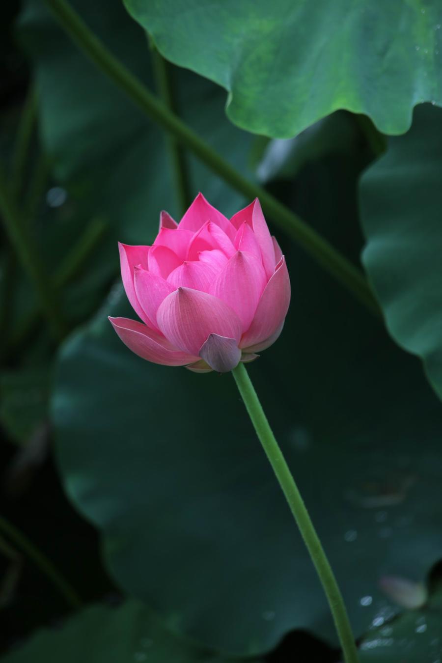调整大小 IMG_3817.JPG