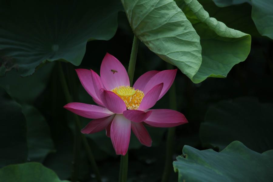 调整大小 IMG_3848.JPG