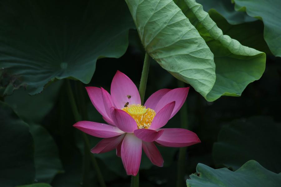 调整大小 IMG_3852.JPG