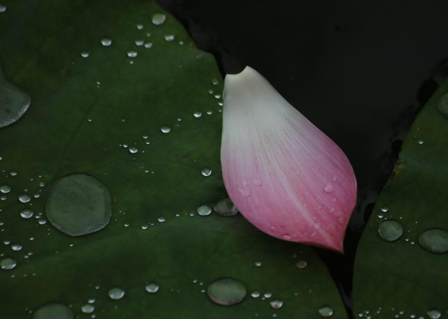 调整大小 IMG_3868.JPG