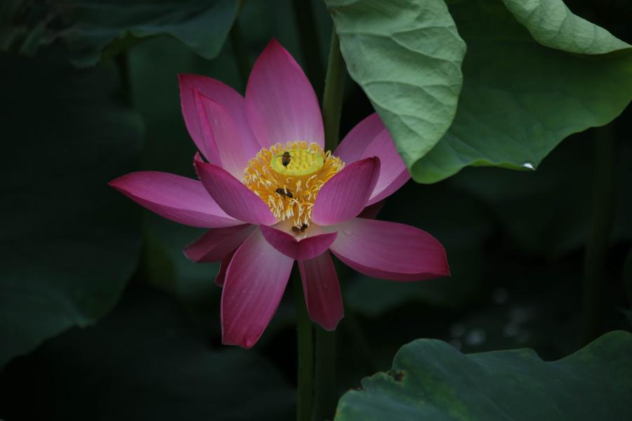 调整大小 IMG_3872.JPG