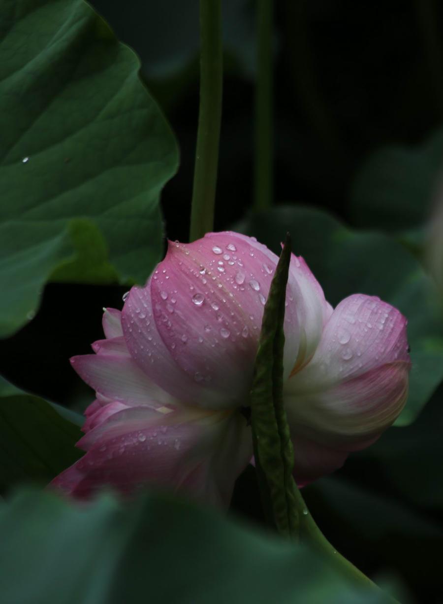 调整大小 IMG_3792.JPG