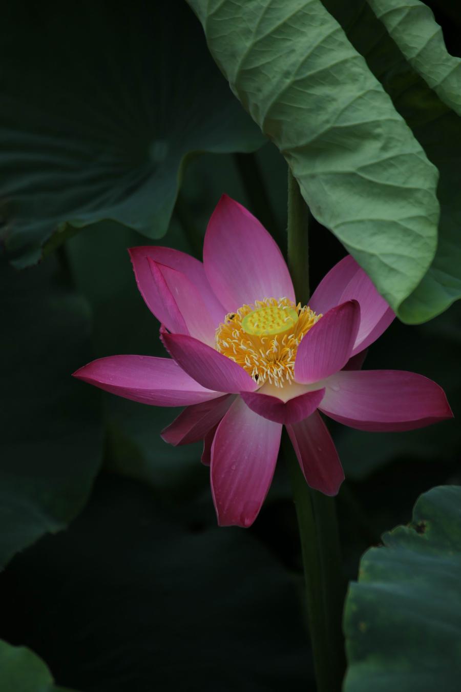 调整大小 IMG_3796.JPG