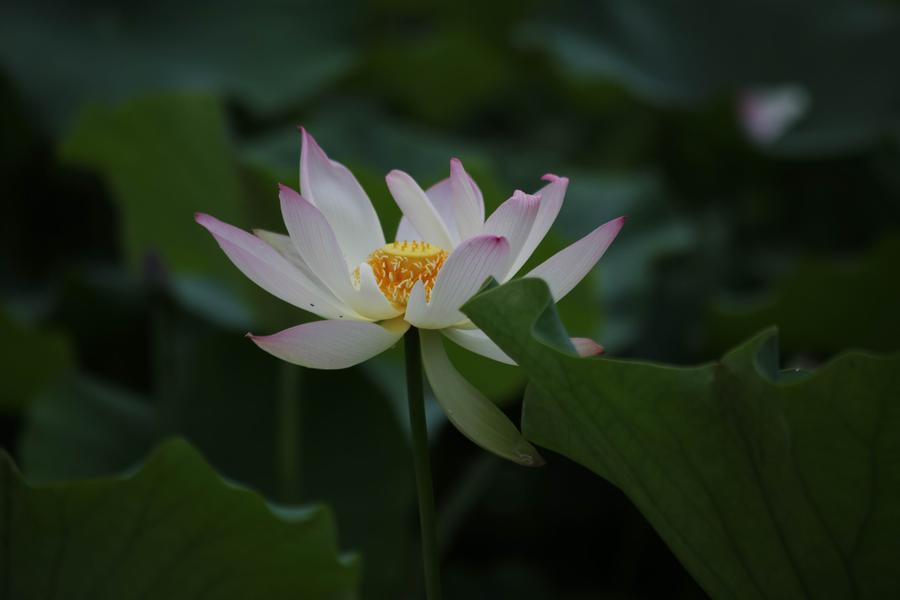 调整大小 IMG_3803.JPG