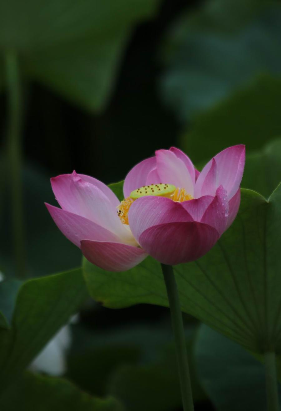 调整大小 IMG_3808.JPG