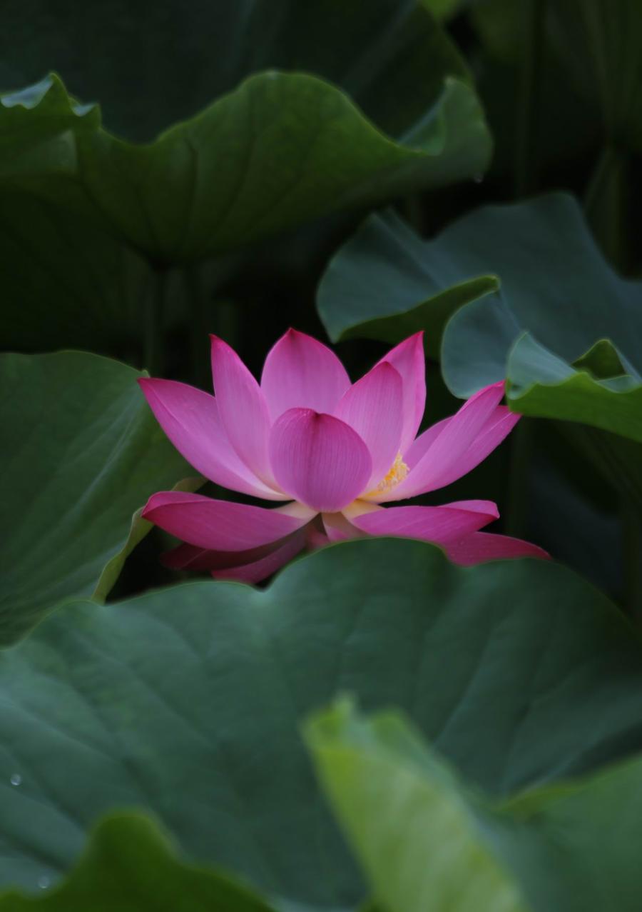 调整大小 IMG_3915.JPG