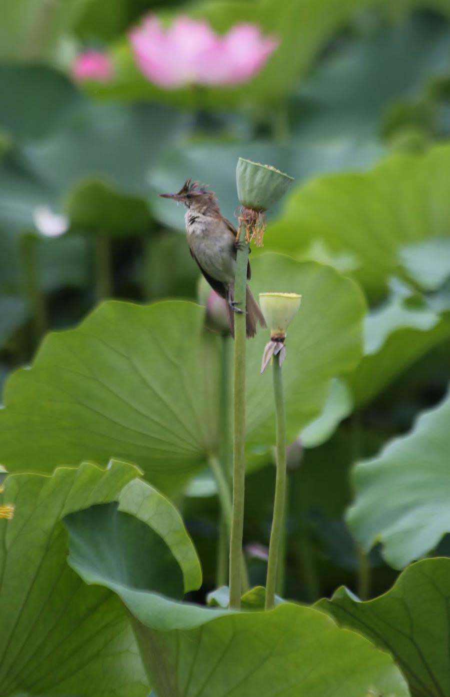 调整大小 IMG_3936.JPG