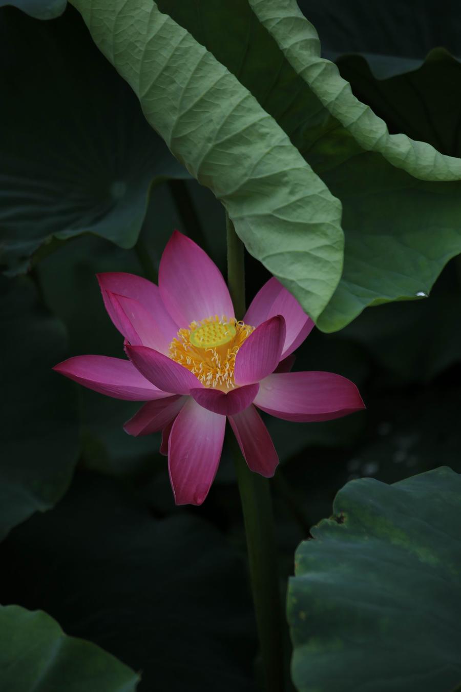 调整大小 IMG_4078.JPG