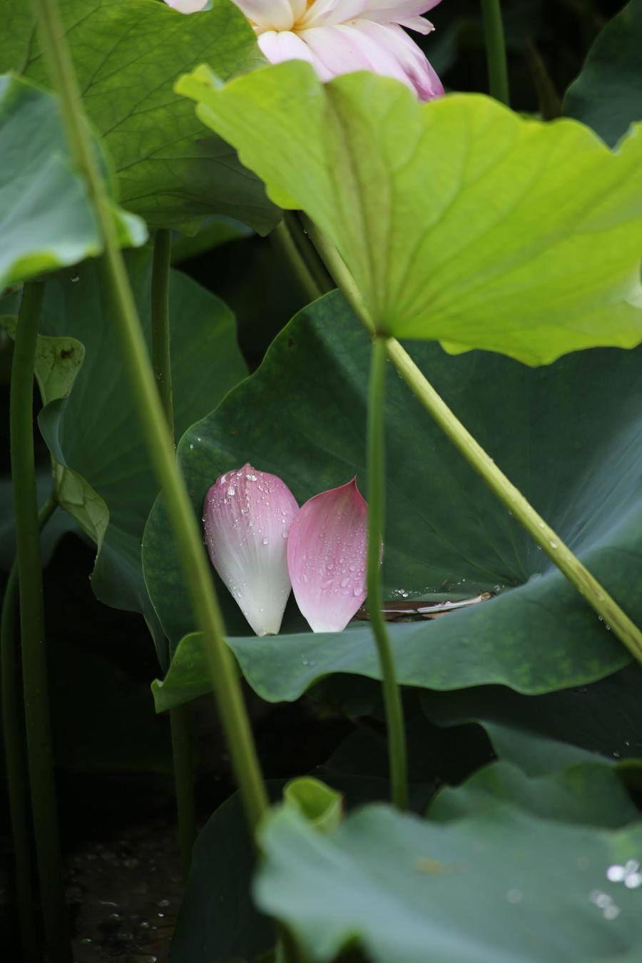 调整大小 IMG_3902.JPG