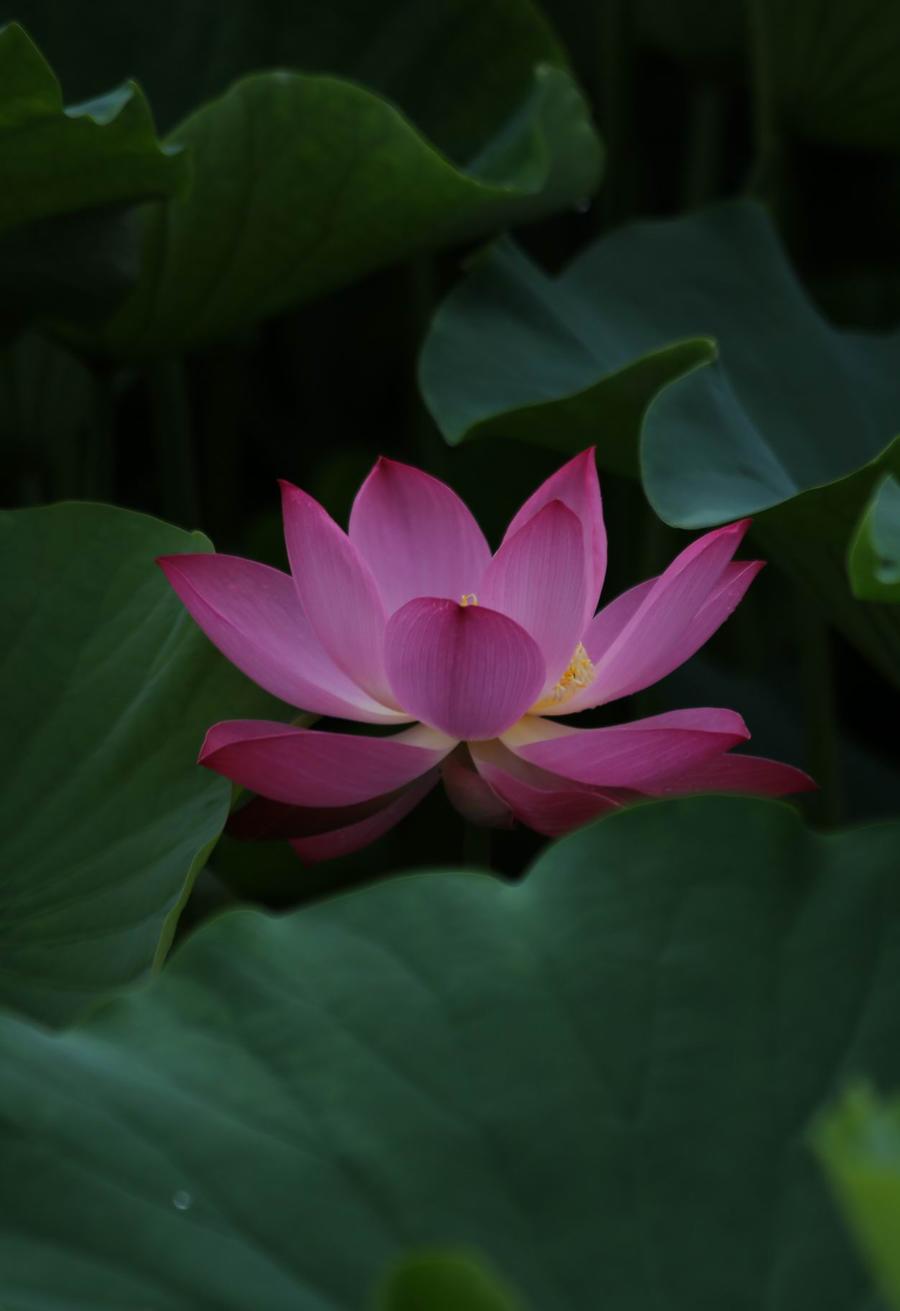 调整大小 IMG_3903.JPG