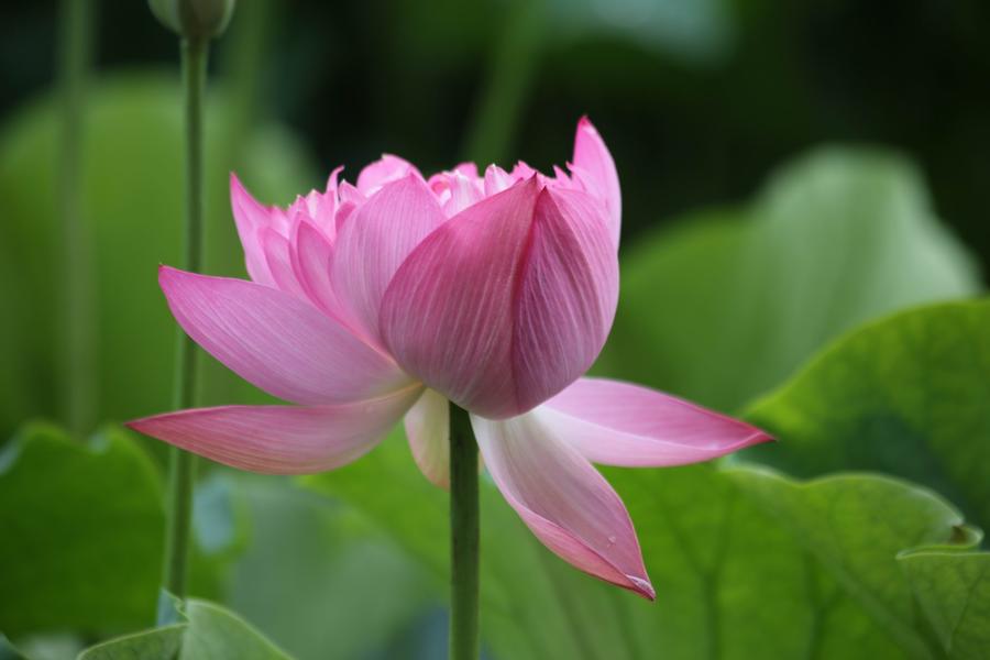 调整大小 IMG_3912.JPG