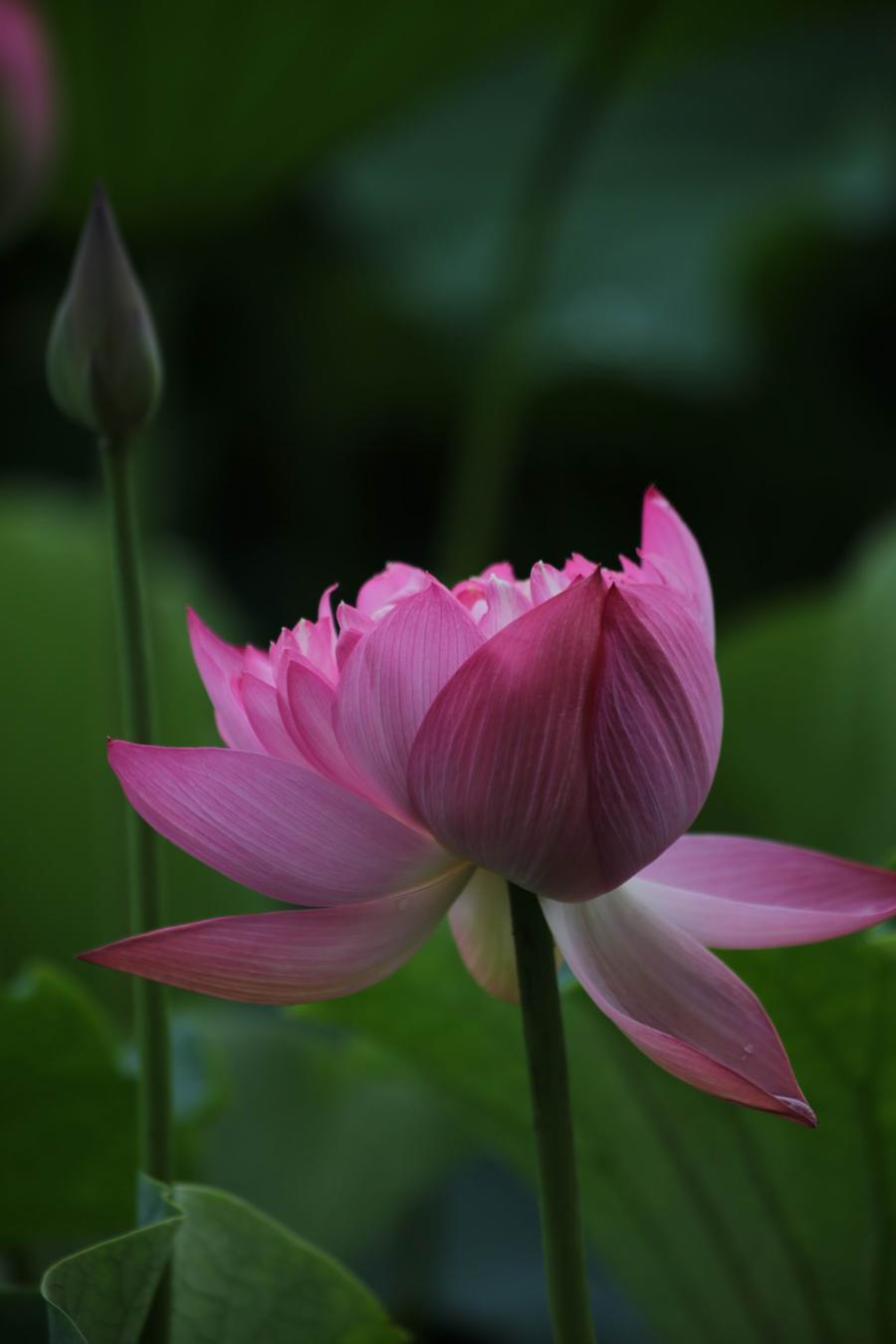 调整大小 IMG_3913.JPG