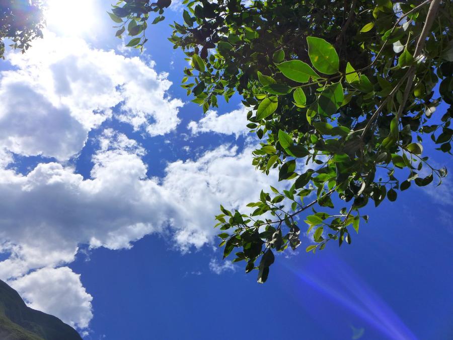 conew_p1040148.jpg