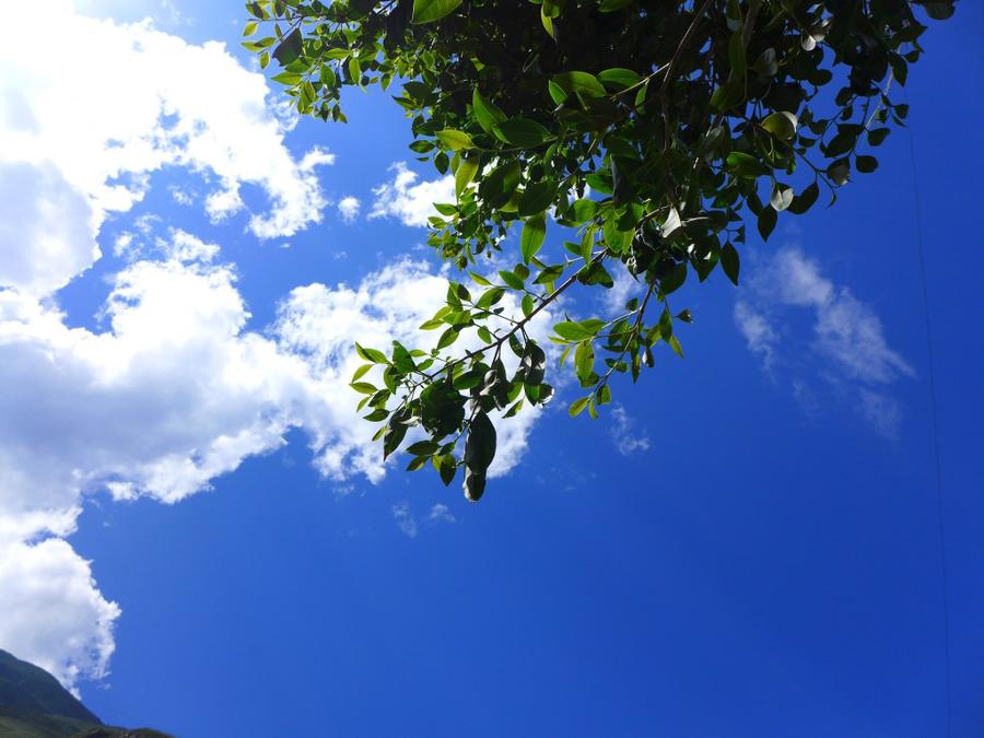conew_p1040157.jpg