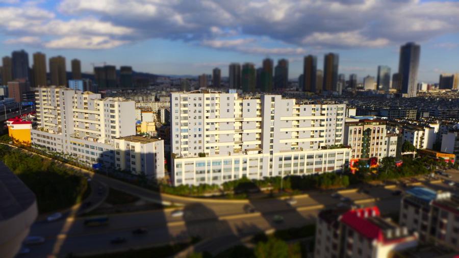 conew_p1010164.jpg