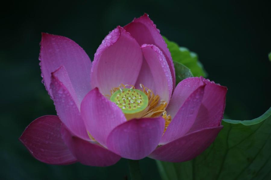 调整大小 IMG_4397.JPG