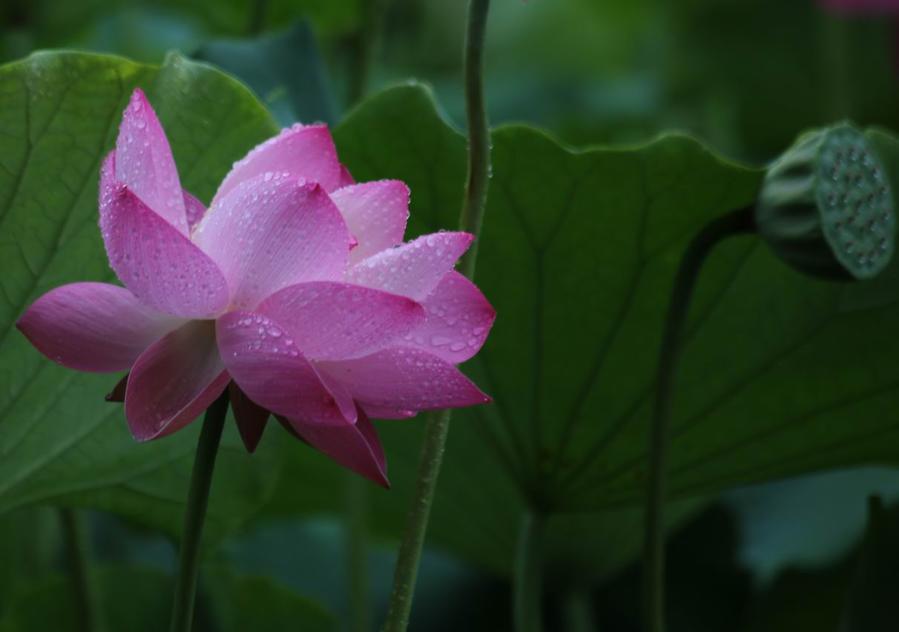 调整大小 IMG_4423.JPG