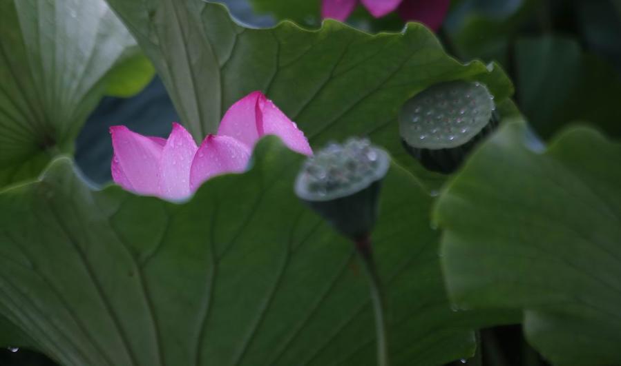 调整大小 IMG_4474.JPG