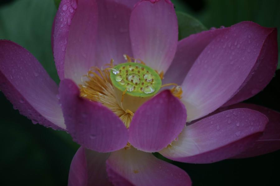 调整大小 IMG_4476.JPG