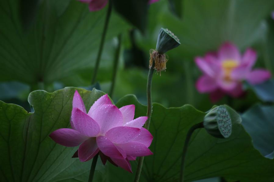 调整大小 IMG_4491.JPG