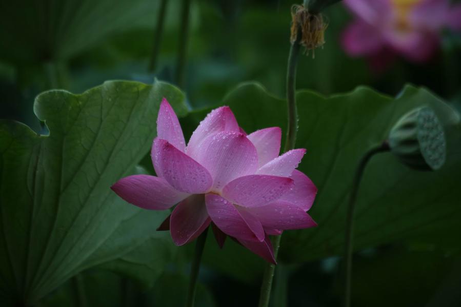 调整大小 IMG_4492.JPG