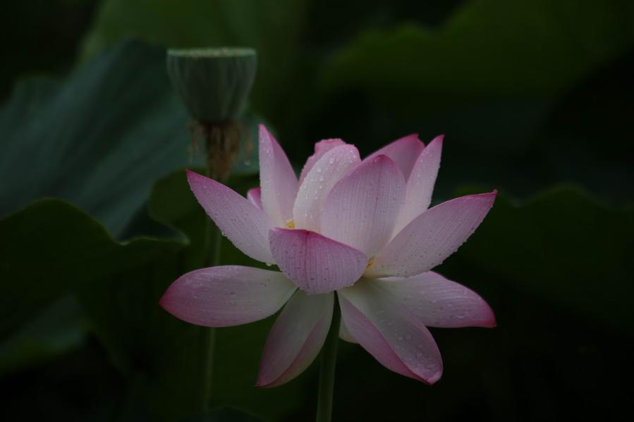 调整大小 IMG_4447.JPG