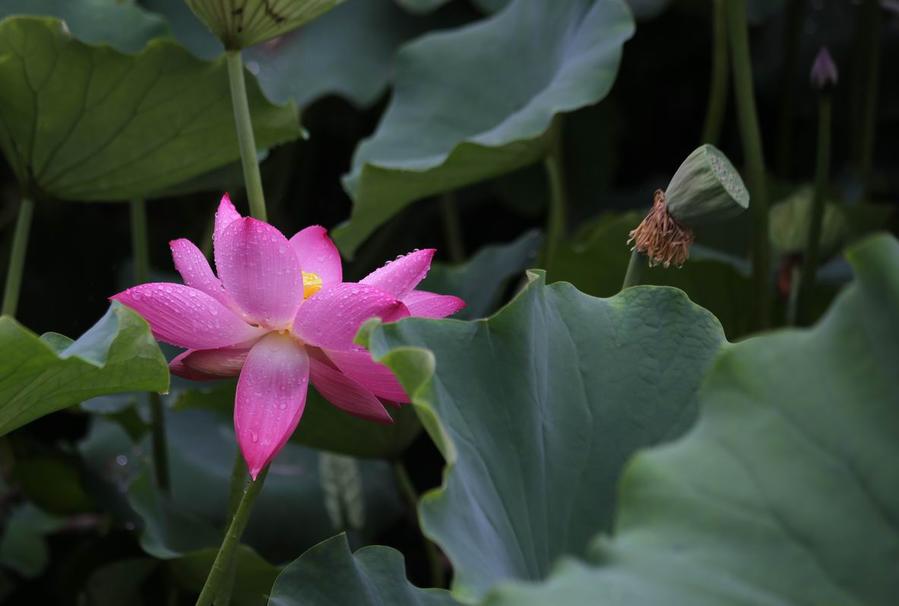 调整大小 IMG_4553.JPG