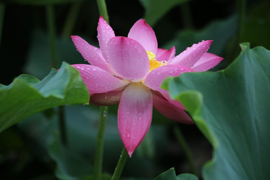 调整大小 IMG_4556.JPG