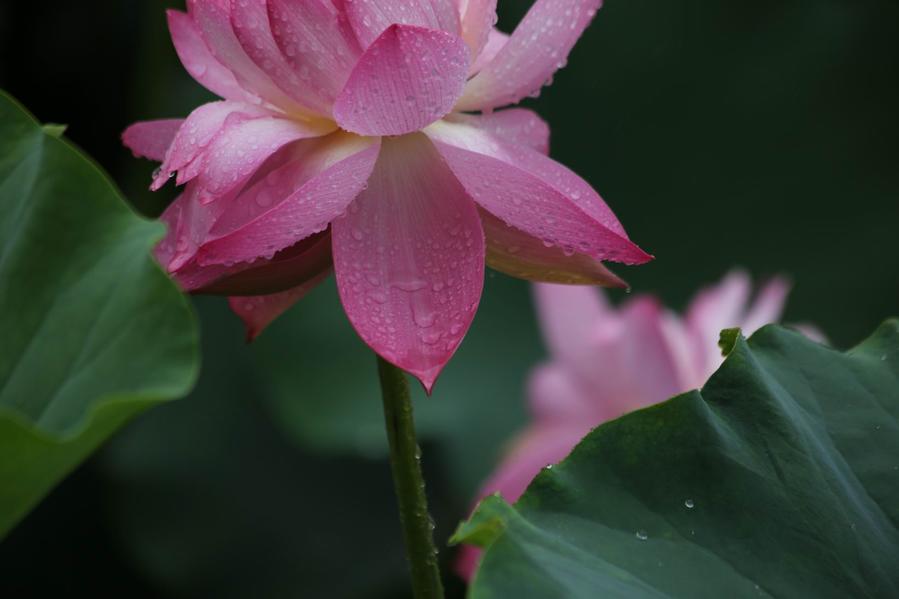 调整大小 IMG_4559.JPG