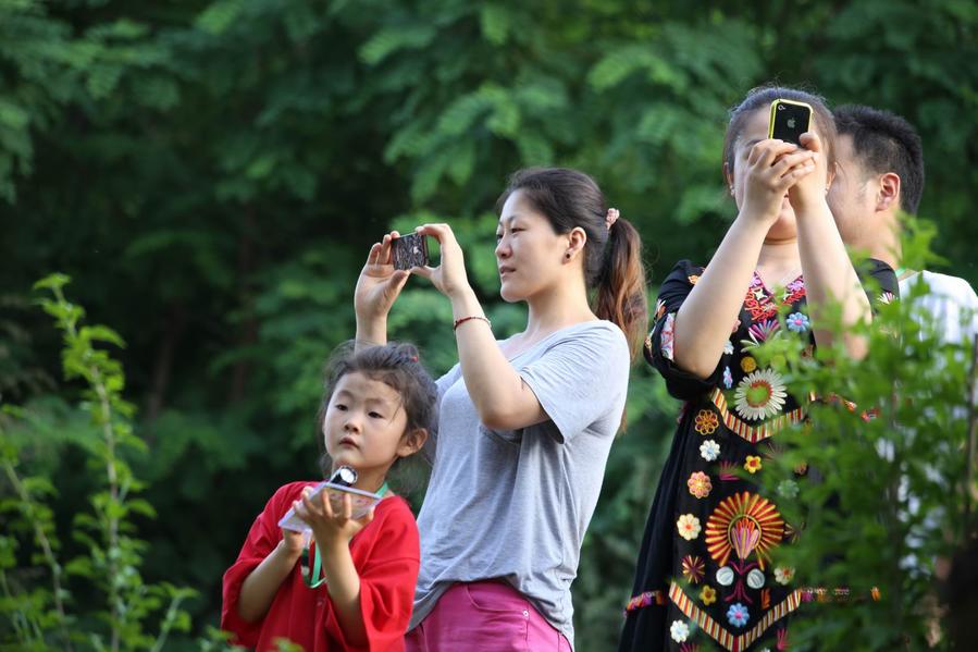 调整大小 照片 225.jpg