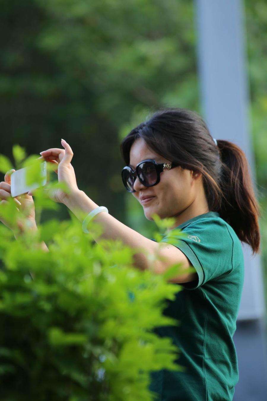 调整大小 照片 234.jpg